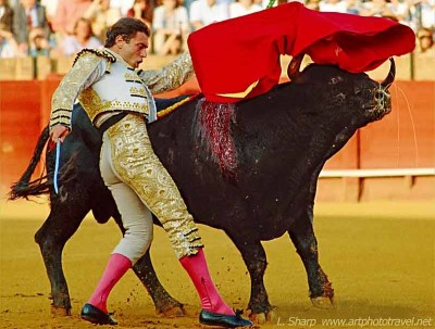bullfight-seville – artphototravel